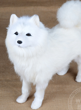 高仿真萨摩耶犬 仿真狗模型 家居摆设装饰玩具狗毛绒玩具狗新款