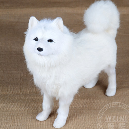 高仿真萨摩耶犬狗模型家居摆设