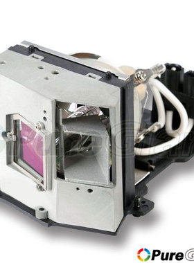 原装 OPTOMA 奥图码 投影机 EX779P EX815 S718 EP759 EP910 带灯架灯泡 SP.89601.001