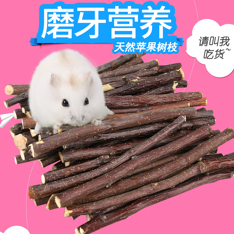 倉鼠龍貓兔子荷蘭豬小動物磨牙蘋果樹枝50g