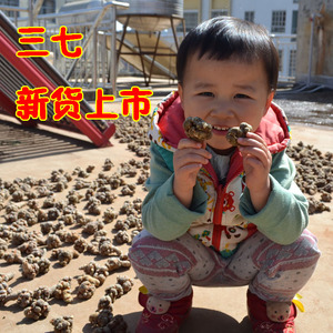 云南特产文山三七 特级田七50头40头30头20头18头三七粉 三七头