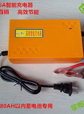 包邮驰风智能充电器12V6A汽车摩托轿车电瓶专用秒杀正品热销