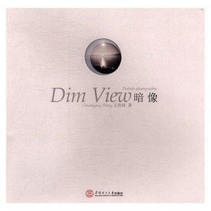 暗像 王传岗 华南理工大学出版社 雕塑 书籍