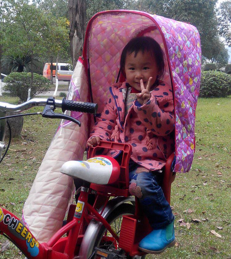 siège enfants pour vélo - Ref 2436090 Image 4