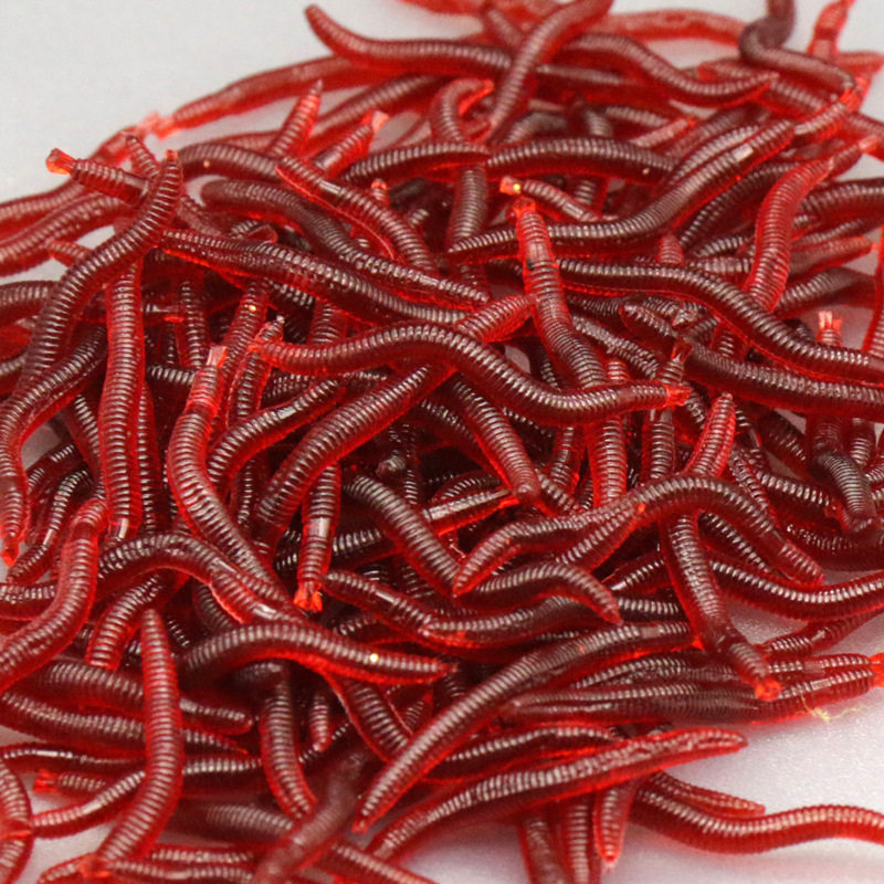 Protection sport - Ref 584821 Image 1