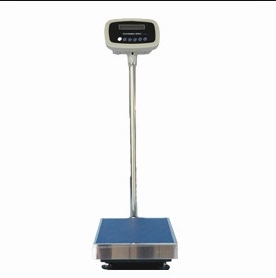 上海菁海菁华YP300KN-10电子天平300kg/10g电子磅秤 电子称 电子