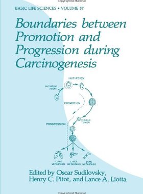 【预售】Boundaries Between Promotion and Progression D...