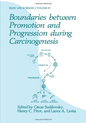 【预售】Boundaries Between Promotion and Progression D...