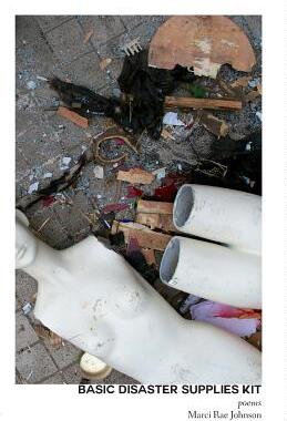 【预售】Basic Disaster Supplies Kit