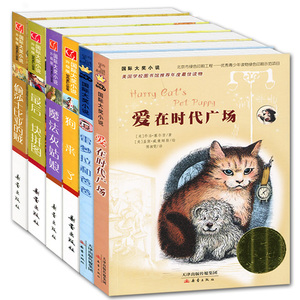 国际大奖小说系列魔法灰姑娘最后一块拼图等全6册 小学生课外阅读书籍三四五年级必读 儿童故事书9-12岁读物老师推荐畅销书 排行榜