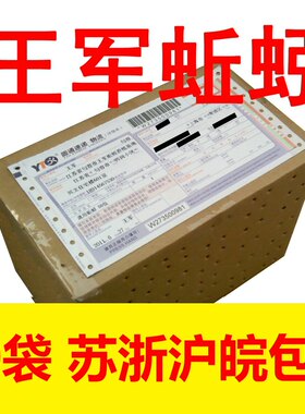 袋装蚯蚓50包一箱王军大平活体