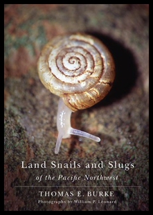 【预售】Land Snails and Slugs of the Pacific Northwest