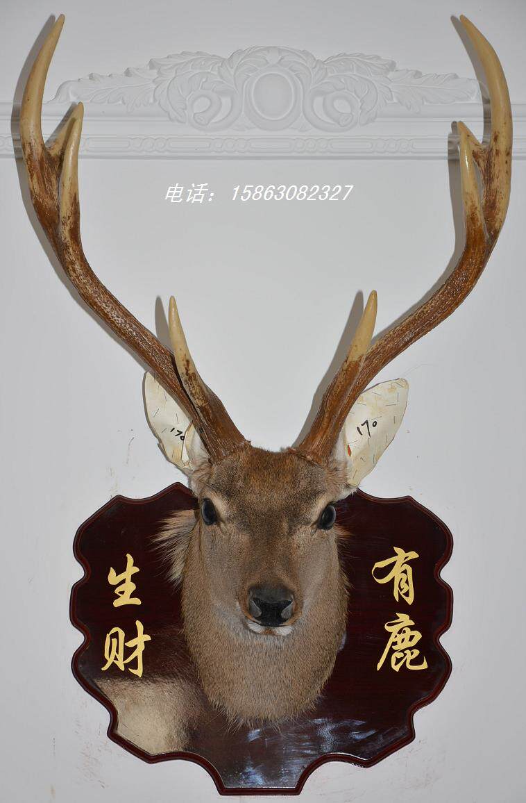 美式鹿头标本壁挂170酒吧真鹿头仿真鹿角客厅样板间酒吧酒窖装饰
