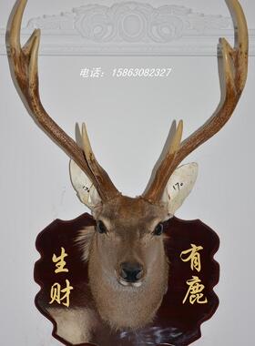 酒吧挂件仿真鹿角墙饰样板间酒吧