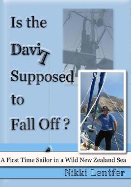 【预售】Is the Davit Supposed to Fall Off?: ...
