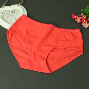 本命年樱子6011女士三角纯棉中高腰提臀内裤包臀内裤4条包邮