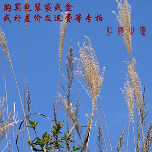 包装 订制费 补运费包装 盒定制定制设计 袋及盒