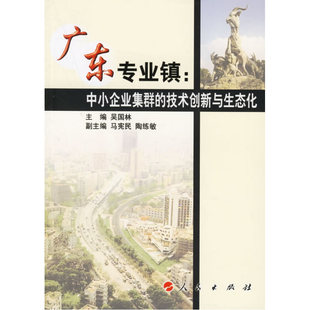 广东专业镇：中小企业集群的技术创新与生态化