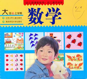 正版 幼儿园课程指导 幼儿操作材料数学大班上册上学期幼儿园练习适合大班小朋友使用江苏少儿出版社南京师范大学出版社