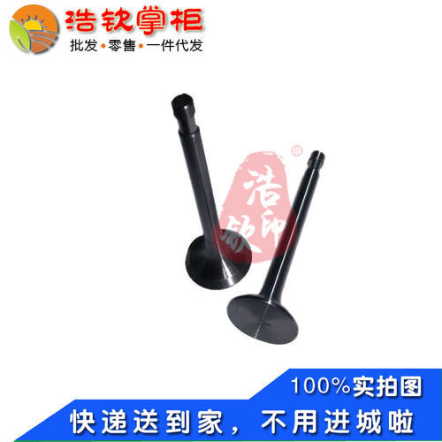 湖南滨湖桃花源正滨风冷四冲程柴油机BH175F-1气门一付