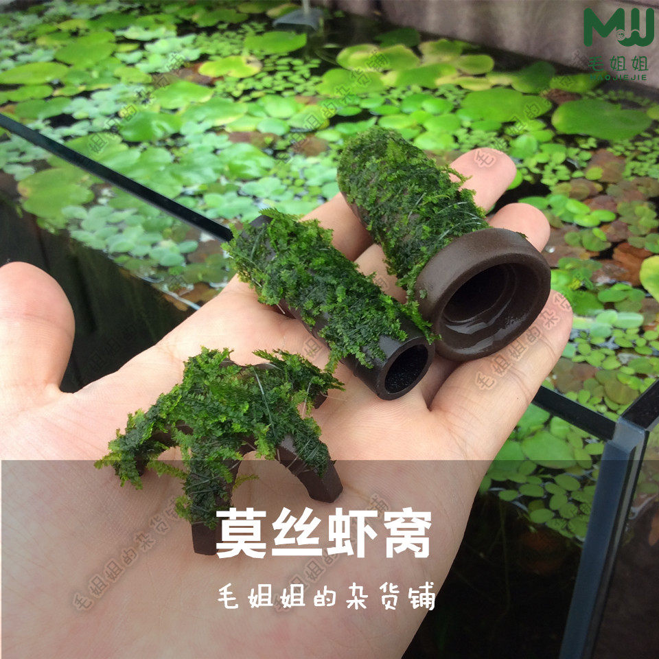 莫丝虾屋造景紫砂虾窝繁殖躲避屋极火虾水晶虾樱花虾观赏虾繁殖筒