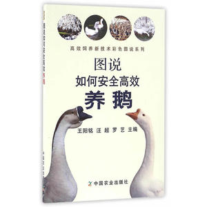 图说如何安全养鹅