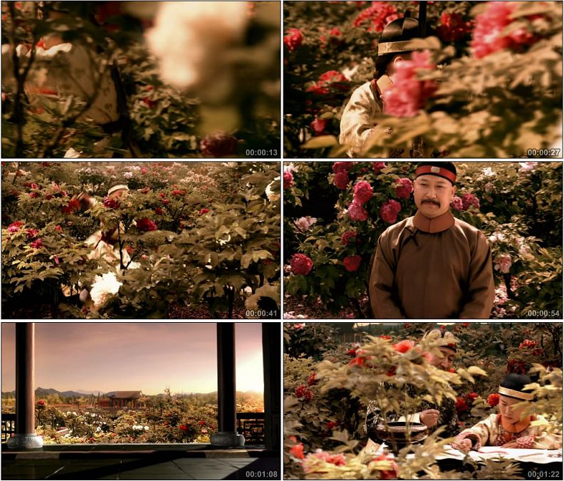 清朝御花园牡丹花园皇帝赏花皇子练剑绘画历史高清实拍视频素材