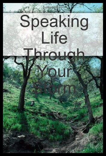 【预售】Speaking Life Through Your Storm