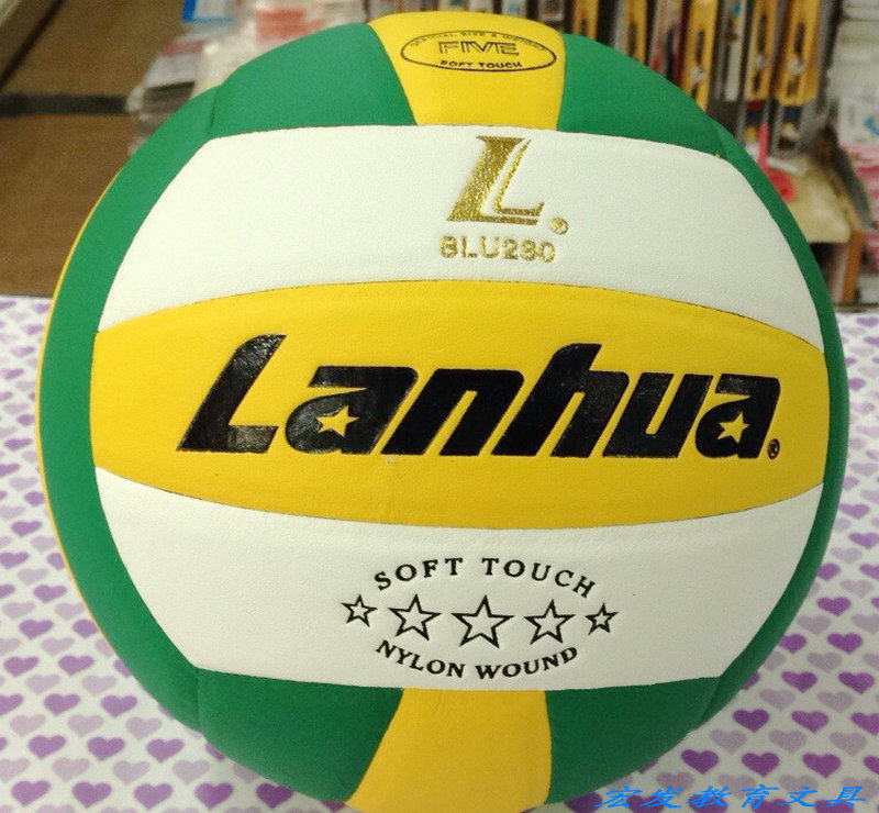 Ballon de volley - Ref 2015718 Image 1