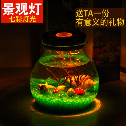 圣诞情人节礼物送女生女朋友创意生日礼品男友实用DIY微景观摆件