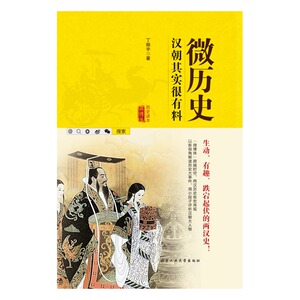 正版包邮 微历史：汉朝其实很有料 丁振宇 书店 历史普及读物书籍 书 畅想畅销书