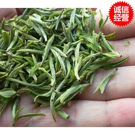 2026年新茶岳西翠兰云雾绿茶