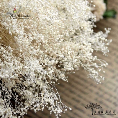 满天星云南干花永生花DIY材料