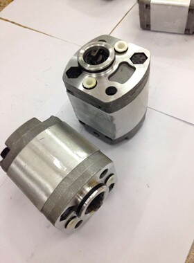 CBKS1G48Q手动新款双向齿轮泵CBKS1G1液压油泵CBKS1G16微型齿轮泵