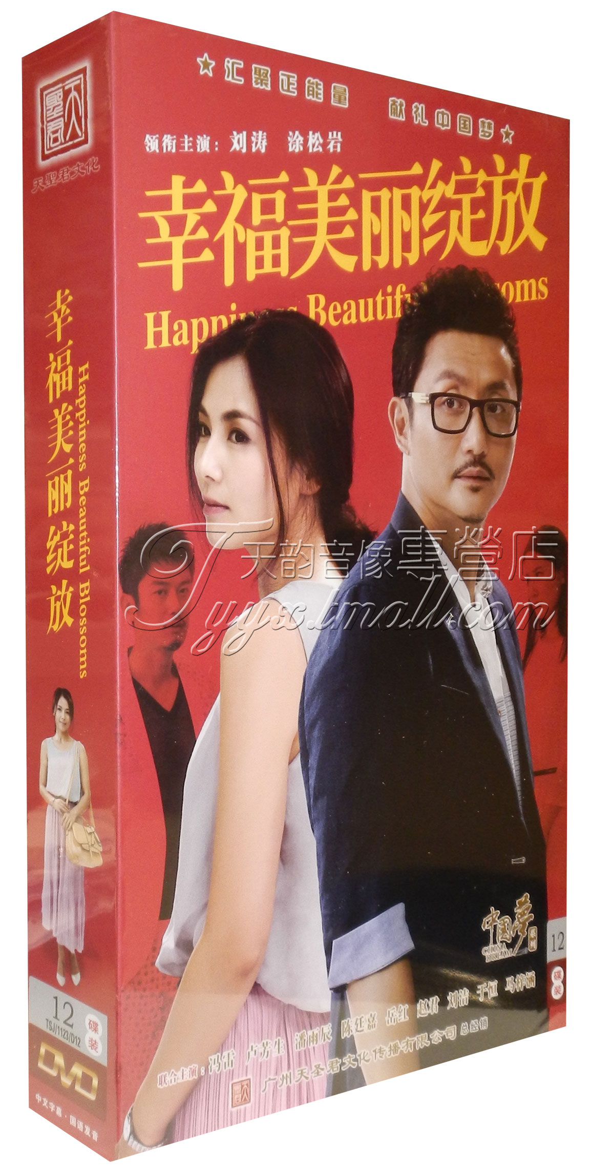 电视剧 幸福从天而降下部幸福美丽绽放 珍藏版12dvd刘涛涂松岩