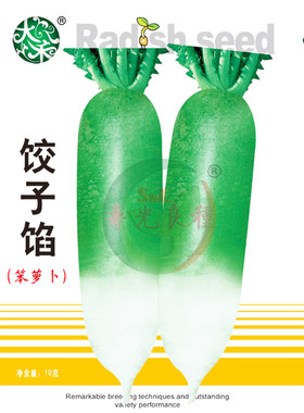 农家萝卜盆栽高产种子籽