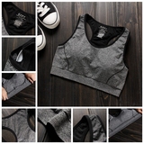 Coques pour soutien-gorge CANVAUS - Ref 822221 Image 196