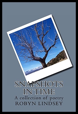 【预售】Snapshots in Time