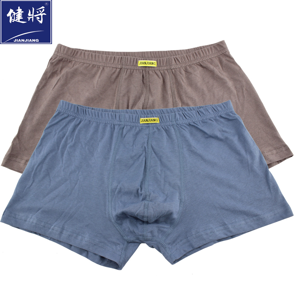 2条盒装健将内裤 男 平角 纯棉全棉宽松透气中腰纯色男士平角内裤