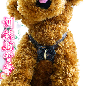 牛皮 easy walk  防爆冲 狗胸背带 中小型犬泰迪贵宾边牧项圈脖圈