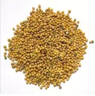 中药材白芥子 芥菜子 辣菜子 500克任意1件包邮送运费险