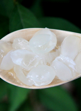 农家干货双颊皂角米双荚雪莲子白籽200g银耳雪燕胶质好