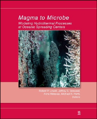 【预订】Magma to Microbe