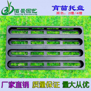 塑料育苗托盘 2槽/4槽育苗盘 蝴蝶兰苗专用托架移栽小苗托架