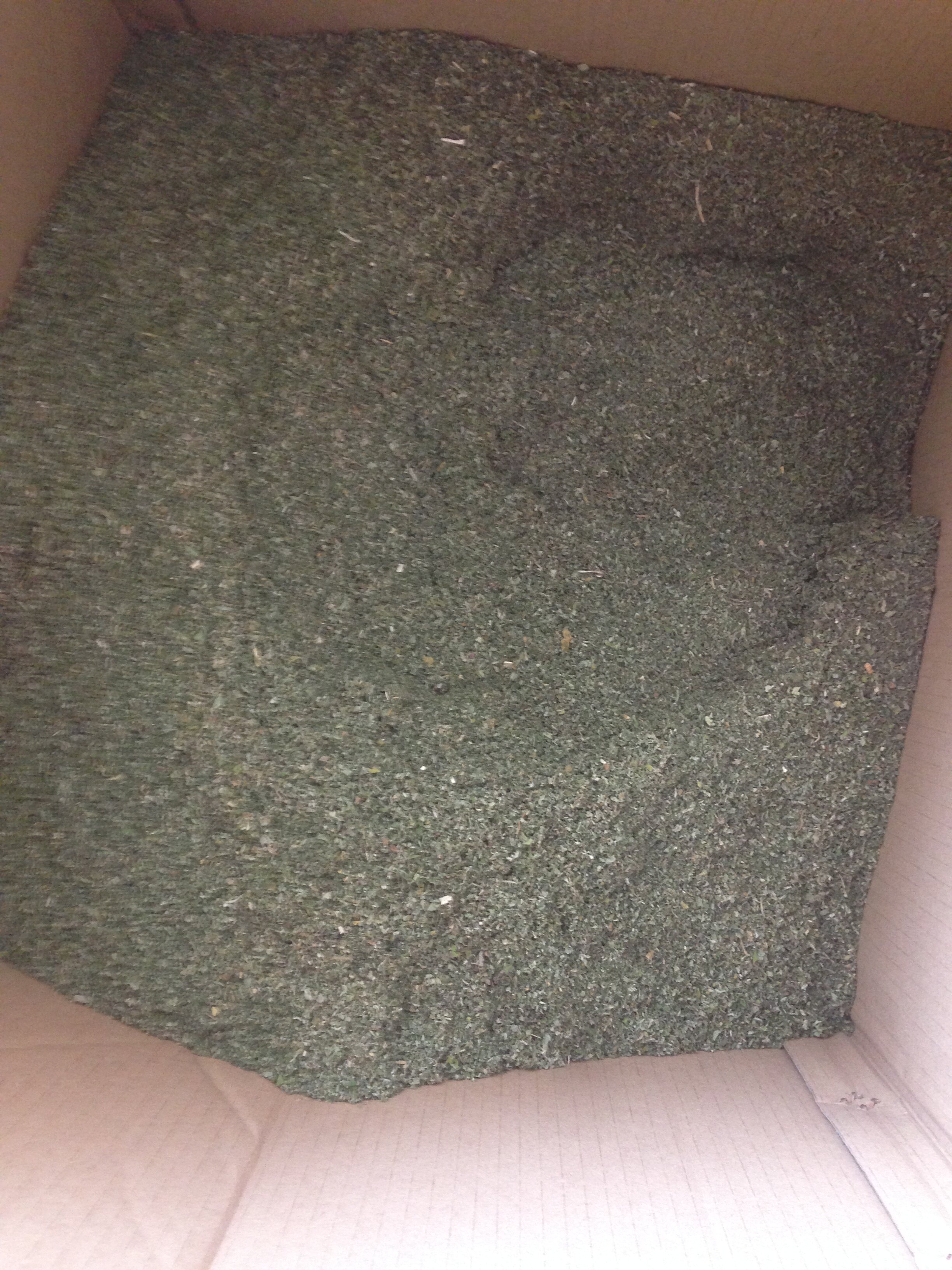 基地直供公斤江浙沪包邮猫薄荷粉