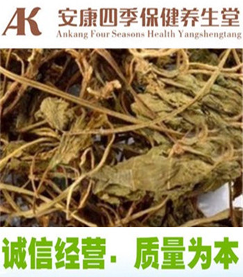 中药材细叶青天葵 独脚天葵猪乸耳 珍珠叶 半边伞坠千斤包邮