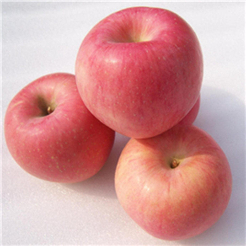 新鲜水果山东烟台苹果 嘎啦苹果 金帅 红富士 农家自种 4斤装包邮