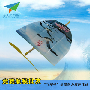红映“飞翔号”橡筋动力飞机模型 手工拼装航模