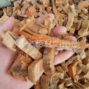 海桐皮 中药材 钉桐皮 鼓桐皮 丁皮 刺通 刺桐山芙蓉空桐树500克