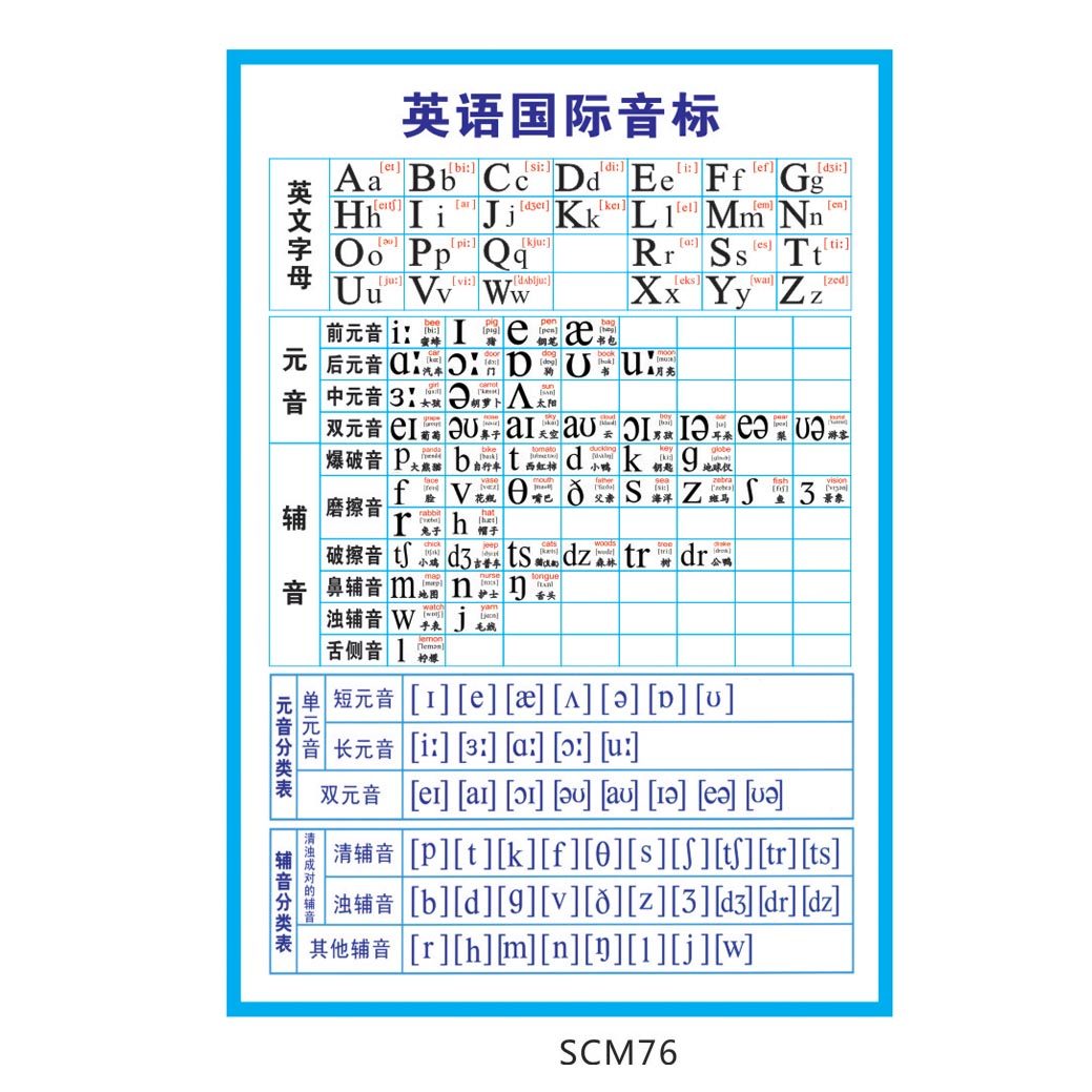 英语国际音标分类表挂图墙贴画海报/英文字母宣传画背胶贴纸scm76